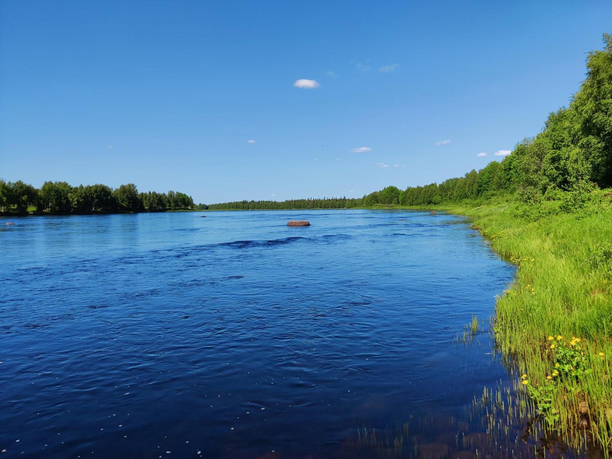 Вілла Aapishovi Chalet Tapio Екстер'єр фото